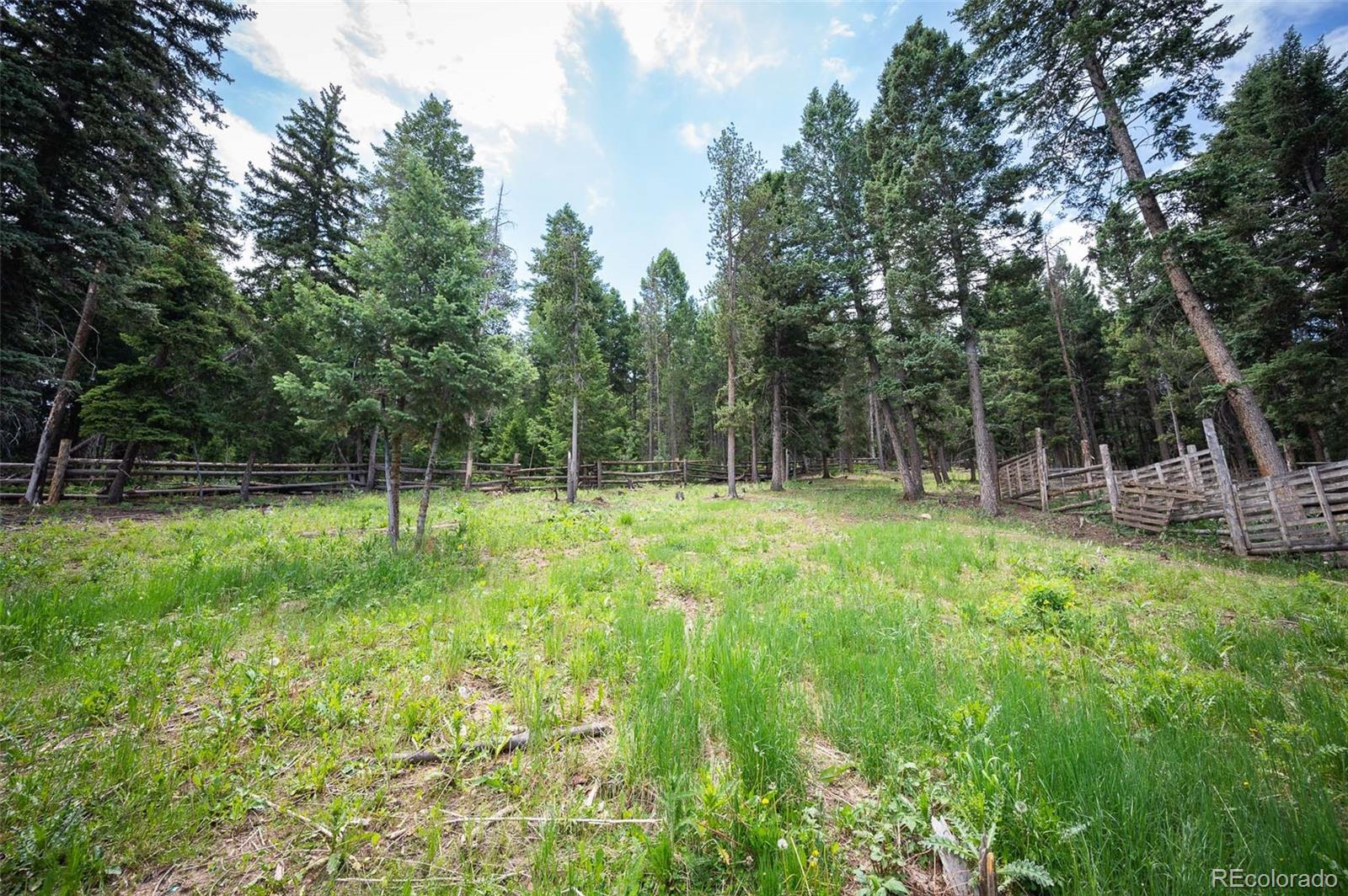 MLS Image #35 for 19424  silver ranch road,conifer, Colorado