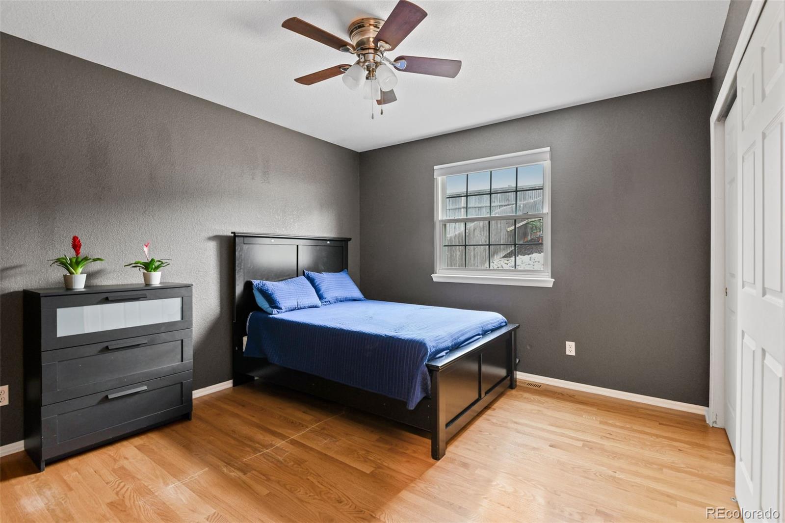 MLS Image #29 for 8829 s dudley street,littleton, Colorado