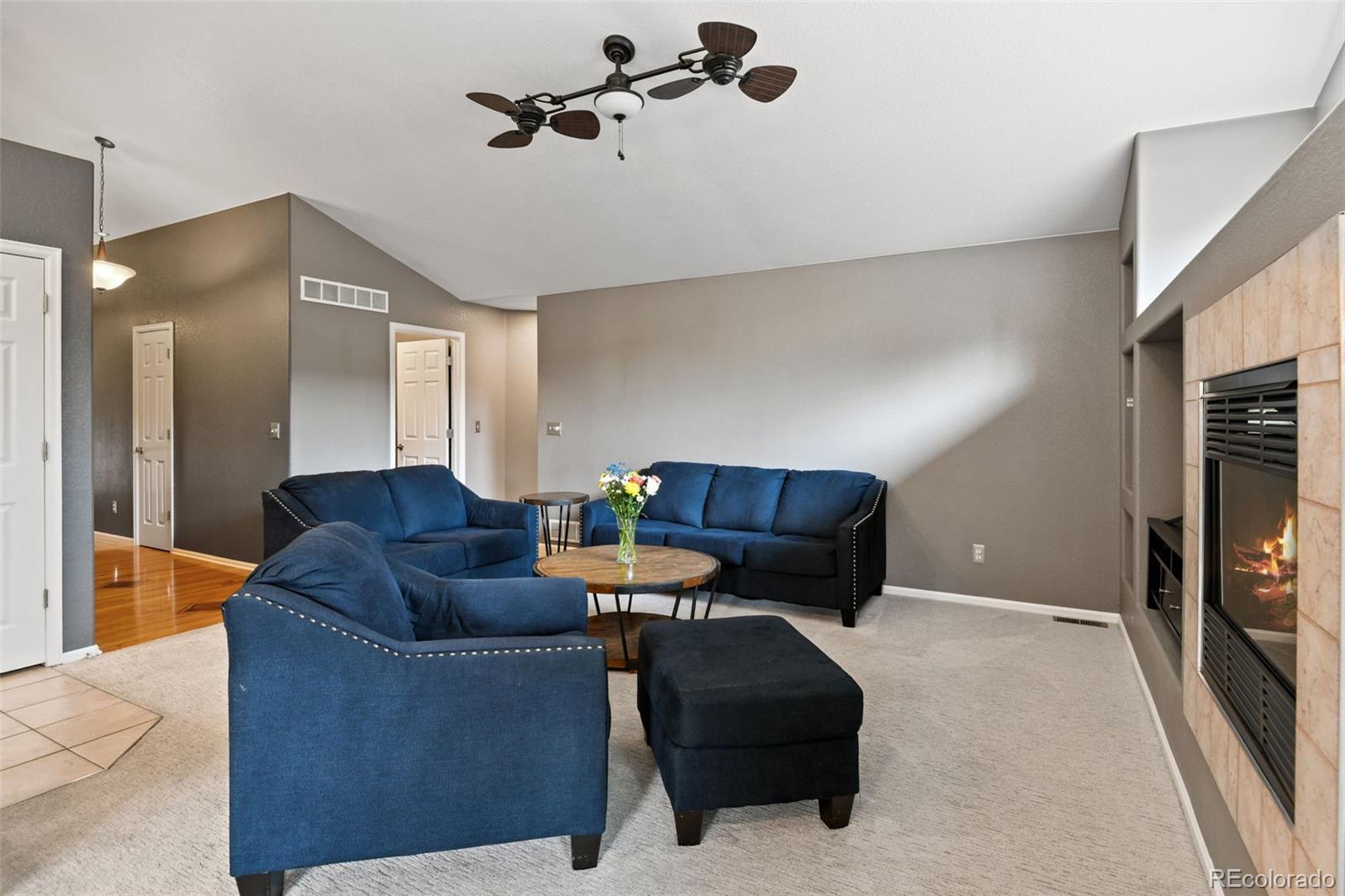 MLS Image #9 for 8829 s dudley street,littleton, Colorado