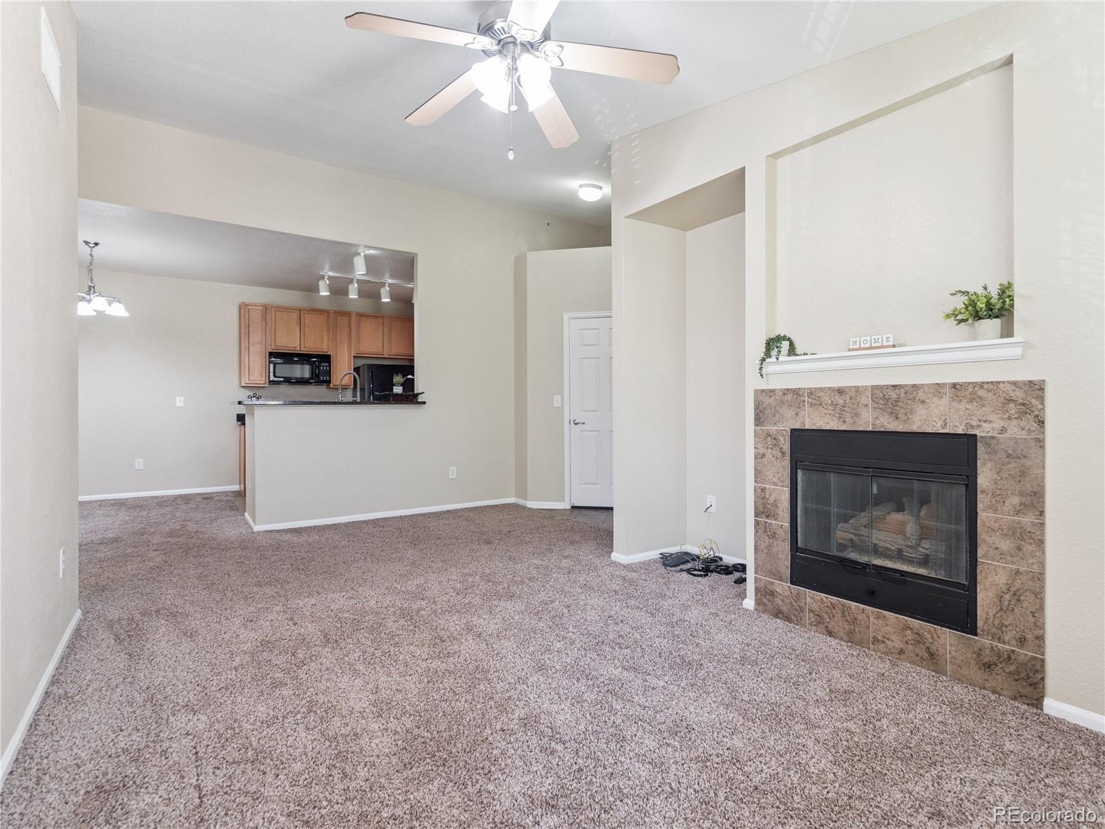 MLS Image #5 for 9142  lodestar lane,parker, Colorado