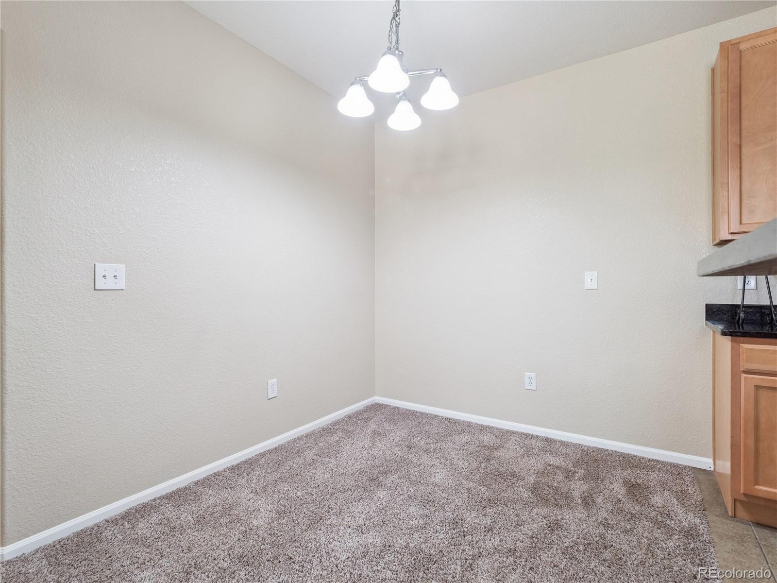 MLS Image #9 for 9142  lodestar lane,parker, Colorado