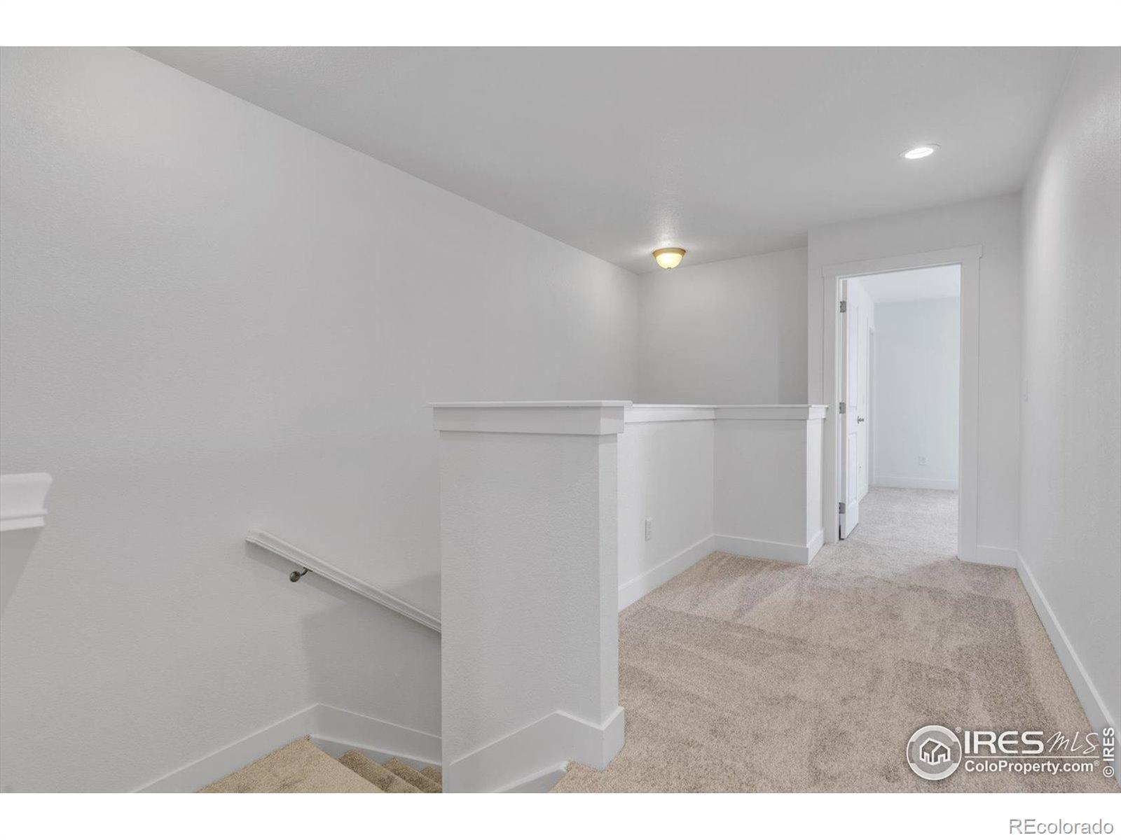 MLS Image #12 for 749  robert street,longmont, Colorado