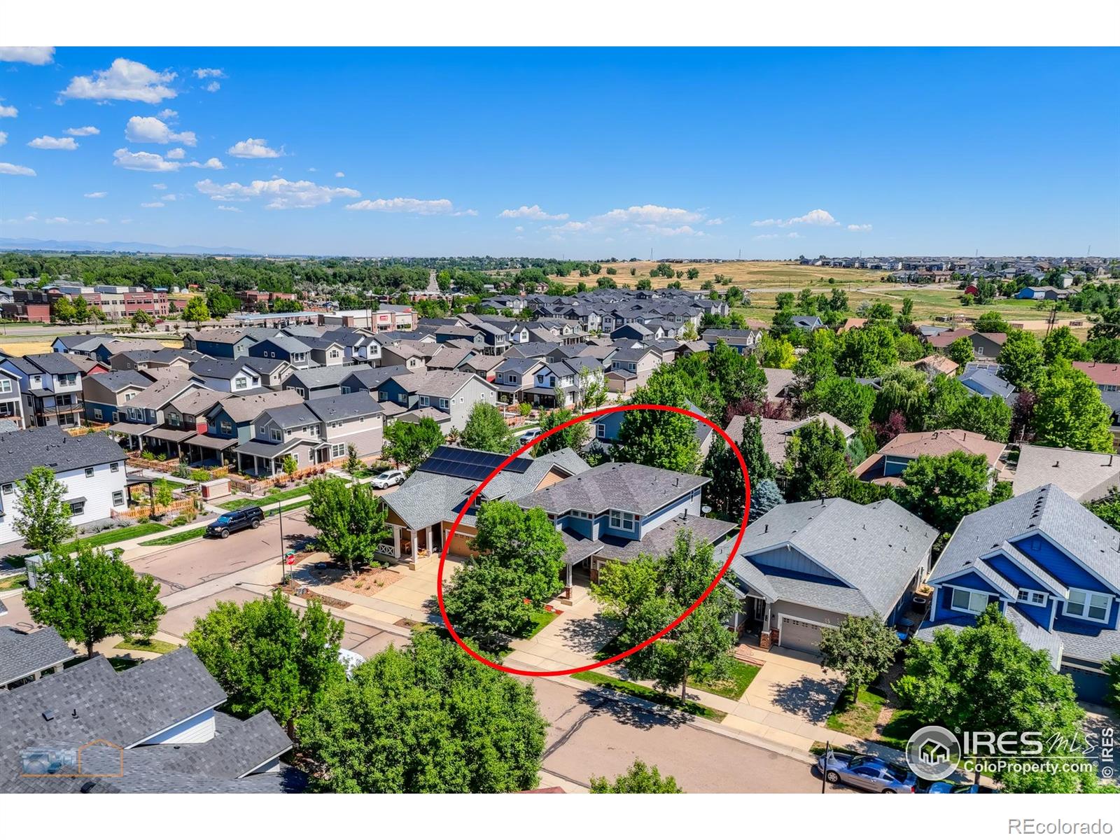 MLS Image #3 for 312  decino place,erie, Colorado