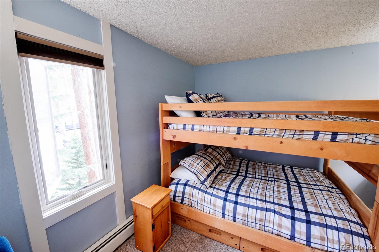 MLS Image #13 for 1100  ski hill road,breckenridge, Colorado