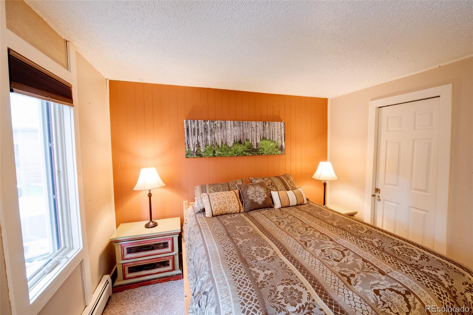 MLS Image #17 for 1100  ski hill road,breckenridge, Colorado