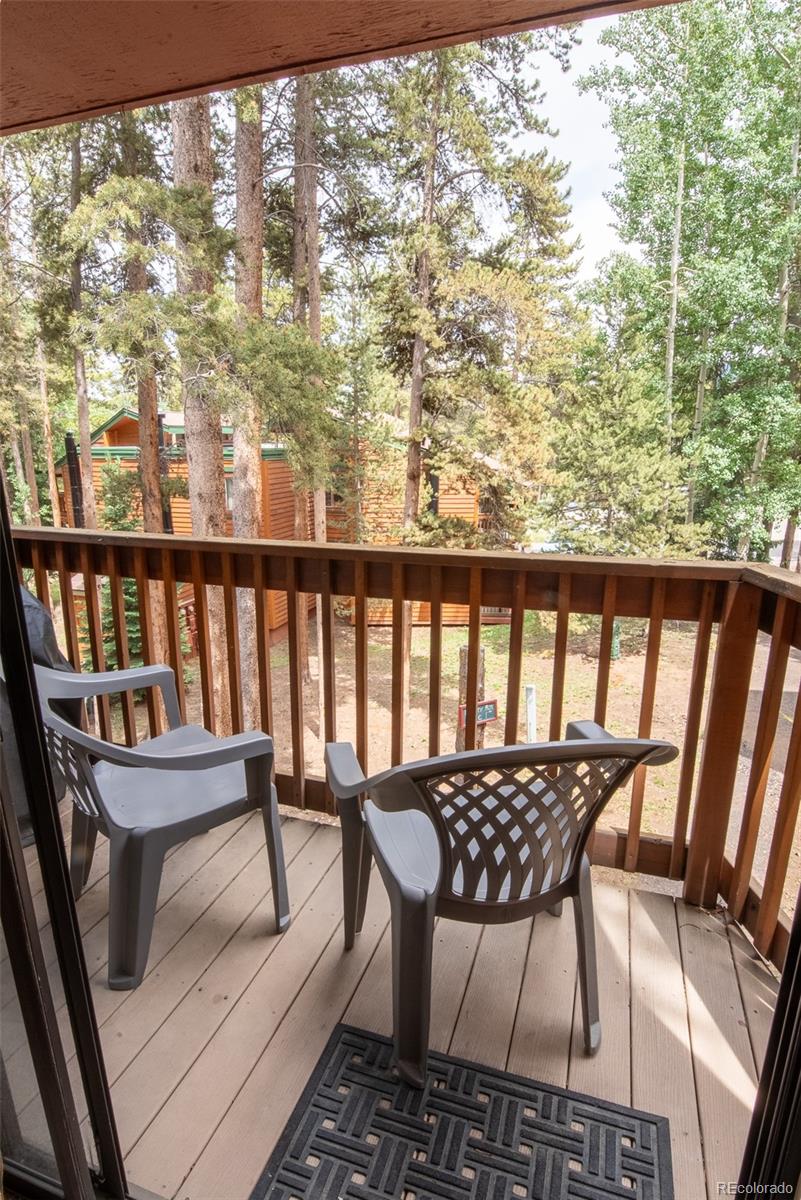 MLS Image #22 for 1100  ski hill road,breckenridge, Colorado
