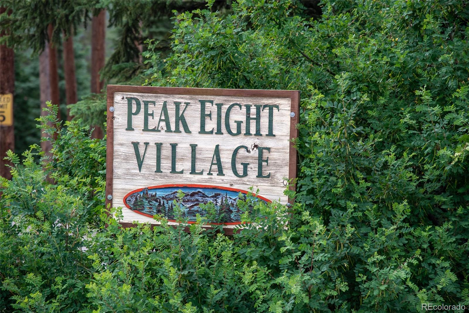 MLS Image #26 for 1100  ski hill road,breckenridge, Colorado