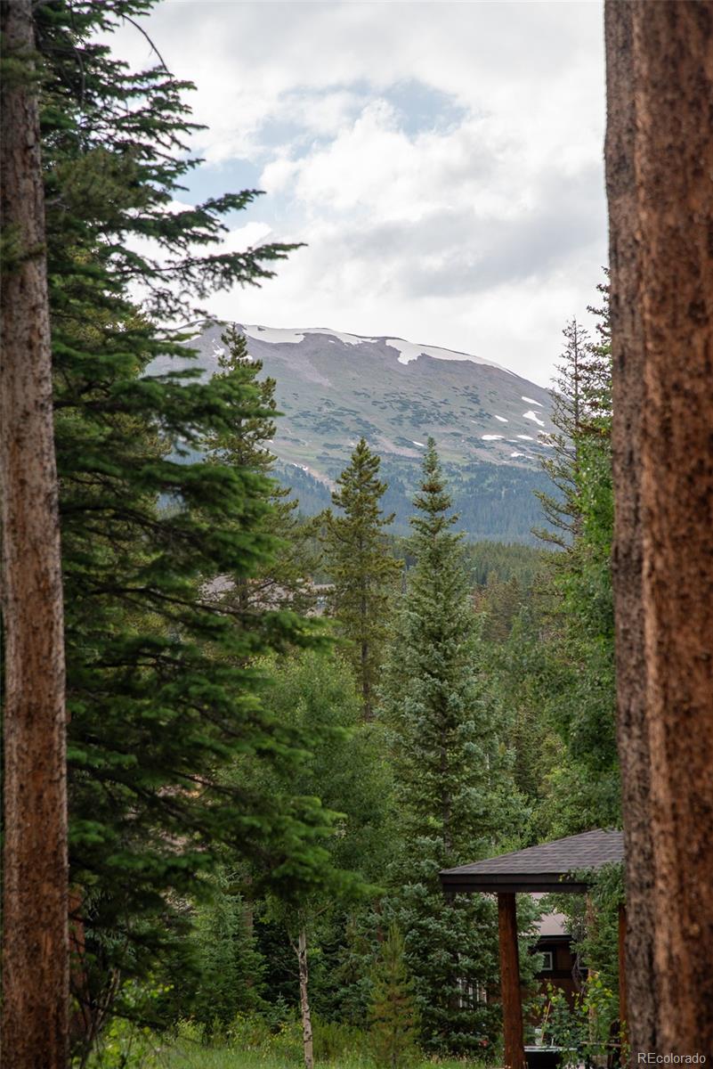 MLS Image #29 for 1100  ski hill road,breckenridge, Colorado