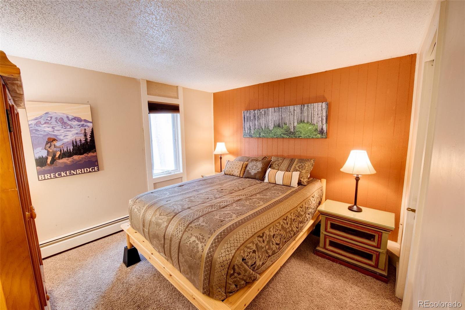 MLS Image #3 for 1100  ski hill road,breckenridge, Colorado