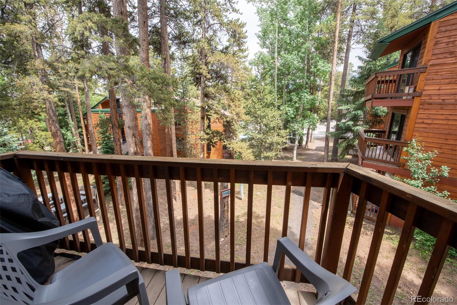 MLS Image #7 for 1100  ski hill road,breckenridge, Colorado