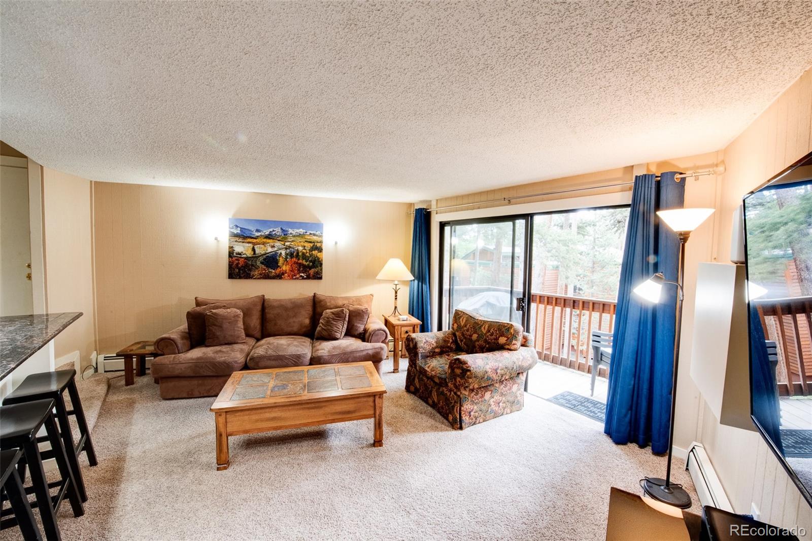 MLS Image #8 for 1100  ski hill road,breckenridge, Colorado