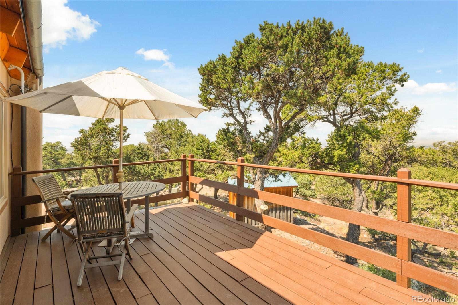MLS Image #16 for 597 n goldmine ,crestone, Colorado