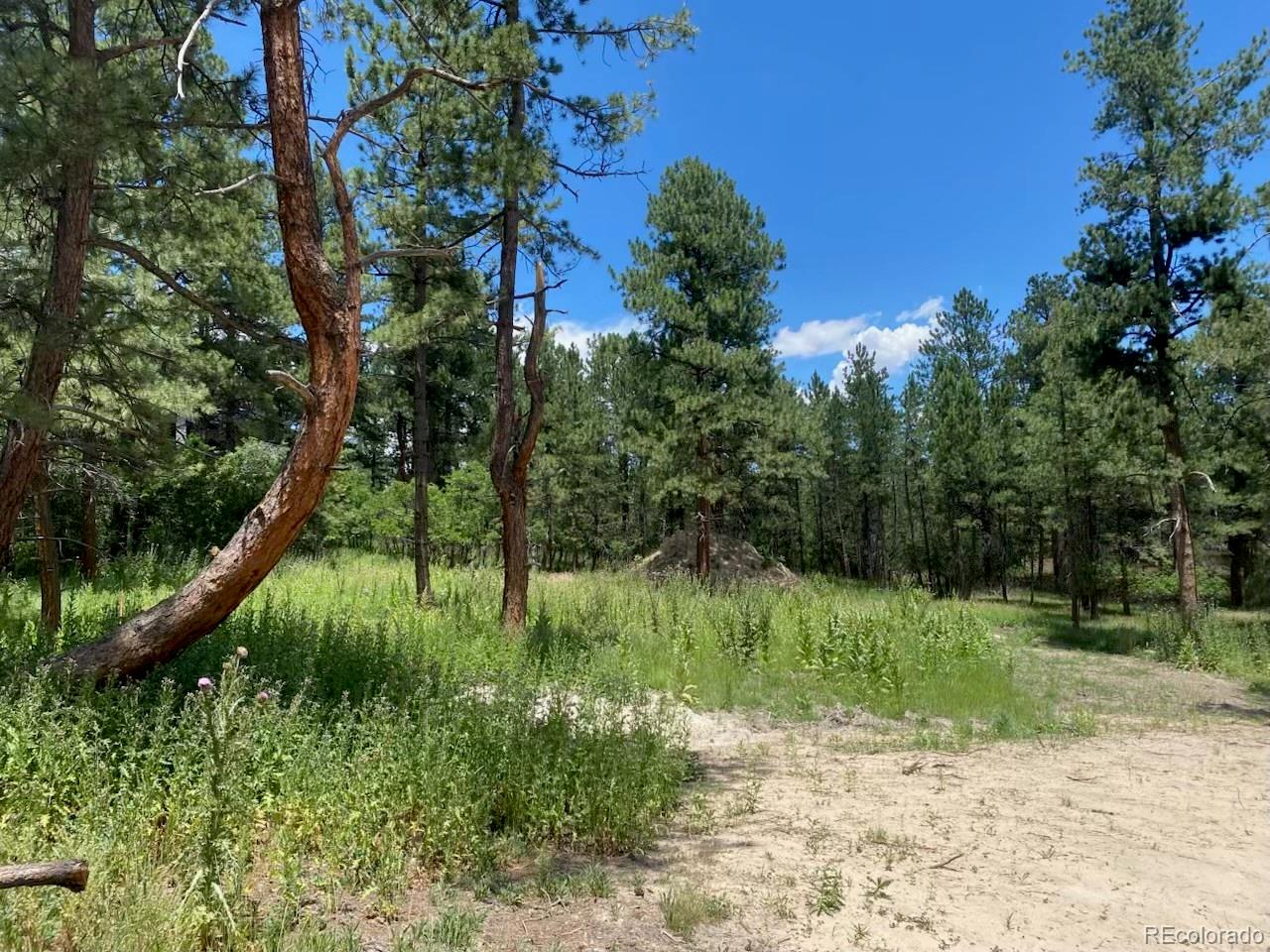 MLS Image #2 for 1025  tenderfoot drive,larkspur, Colorado