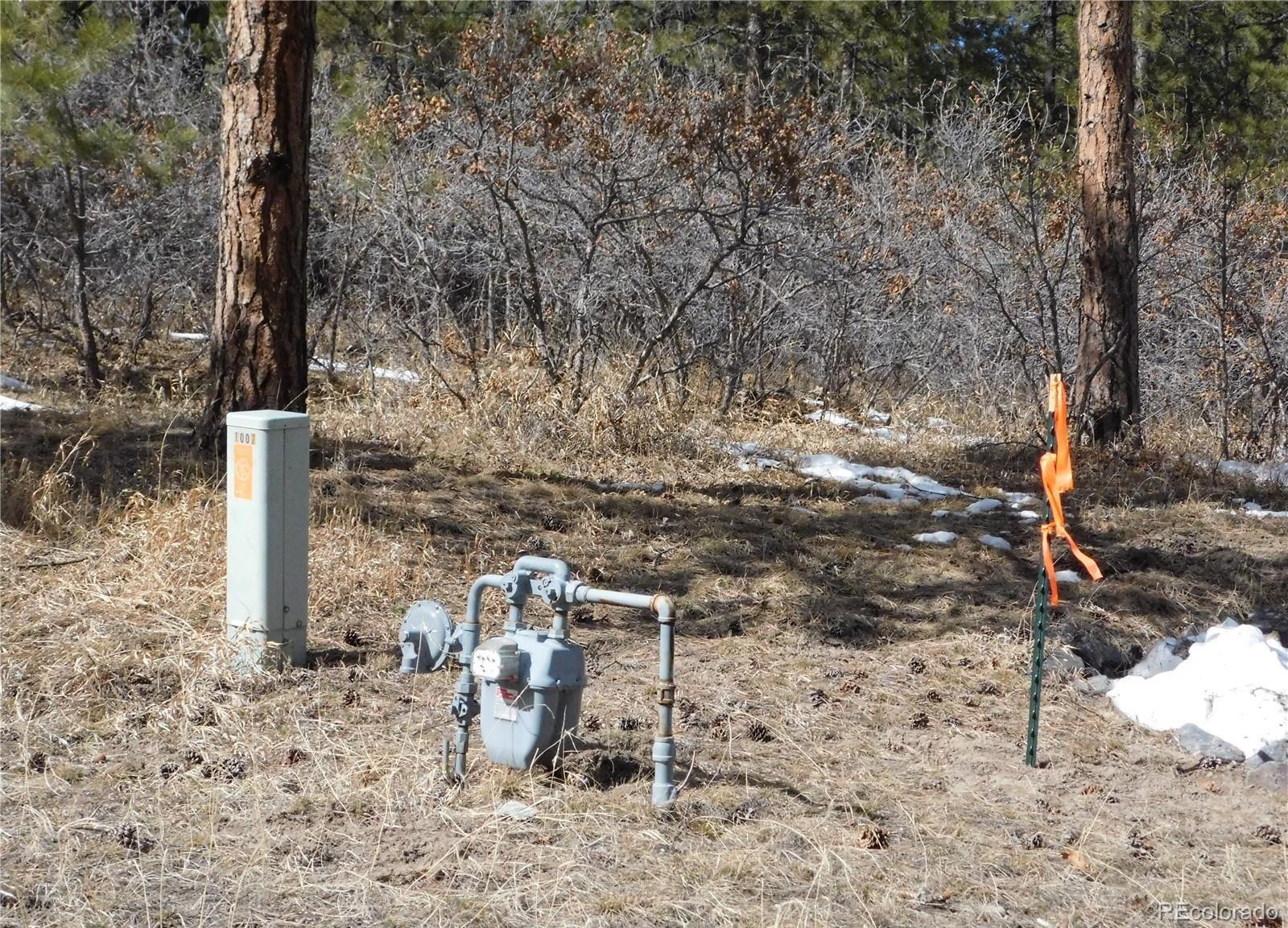 MLS Image #5 for 1025  tenderfoot drive,larkspur, Colorado