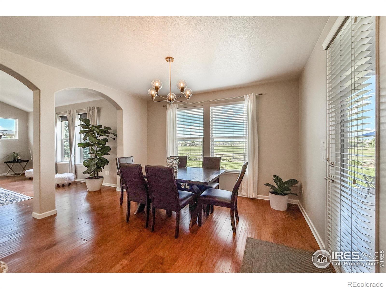 MLS Image #14 for 1917  ute creek drive,longmont, Colorado