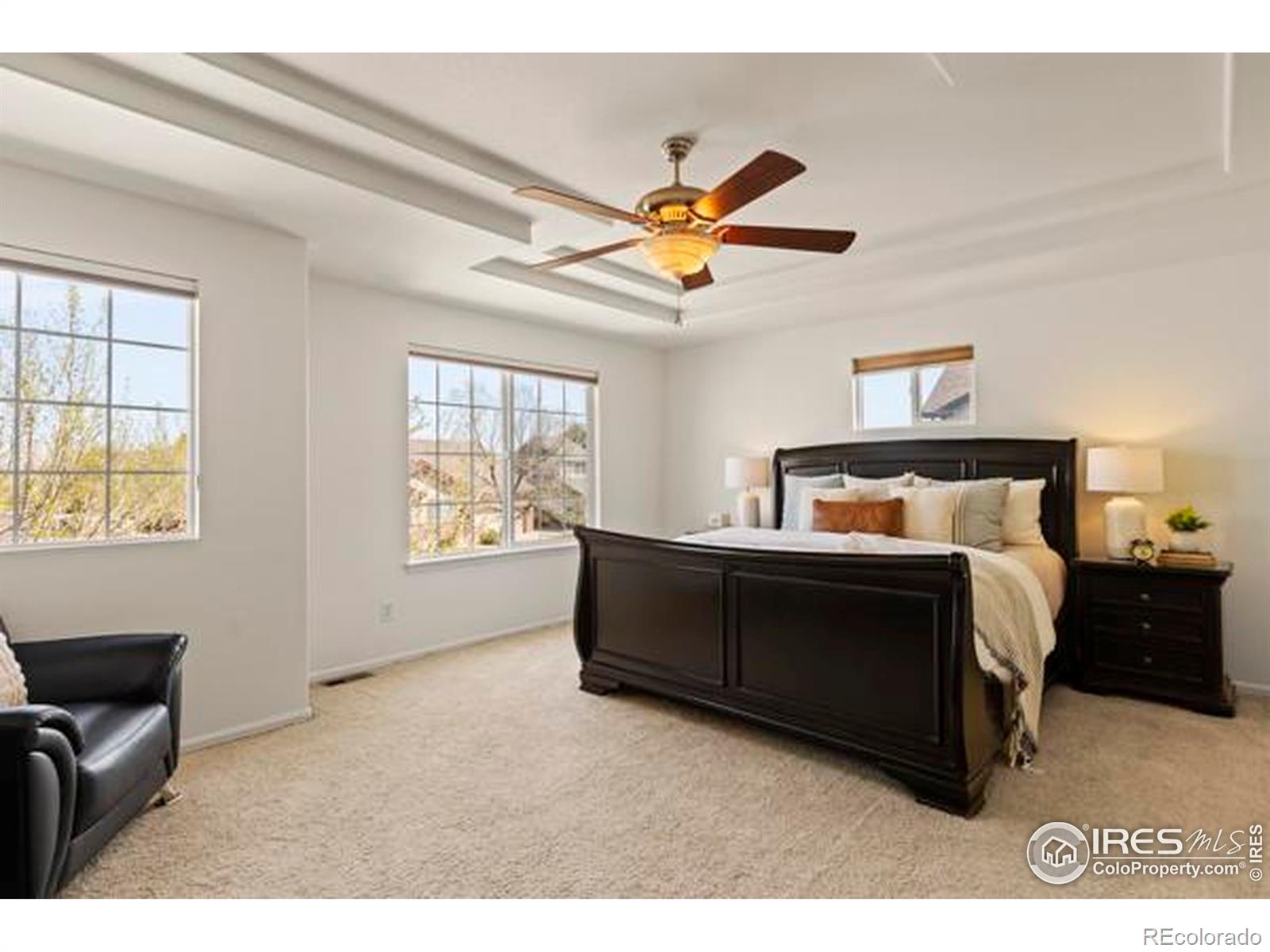 MLS Image #7 for 6117  gold dust road,timnath, Colorado