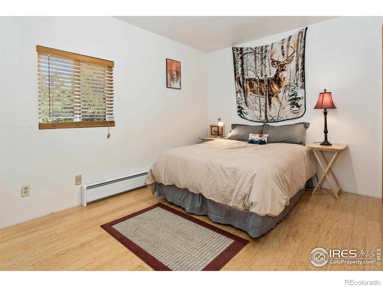 MLS Image #13 for 55  eagle court,drake, Colorado