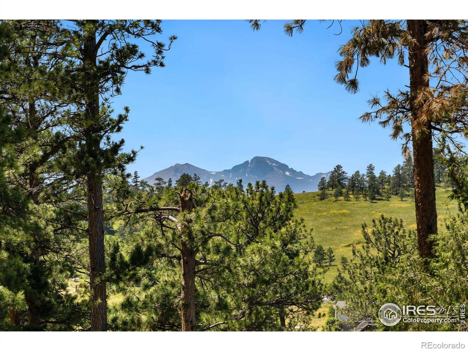 MLS Image #25 for 55  eagle court,drake, Colorado