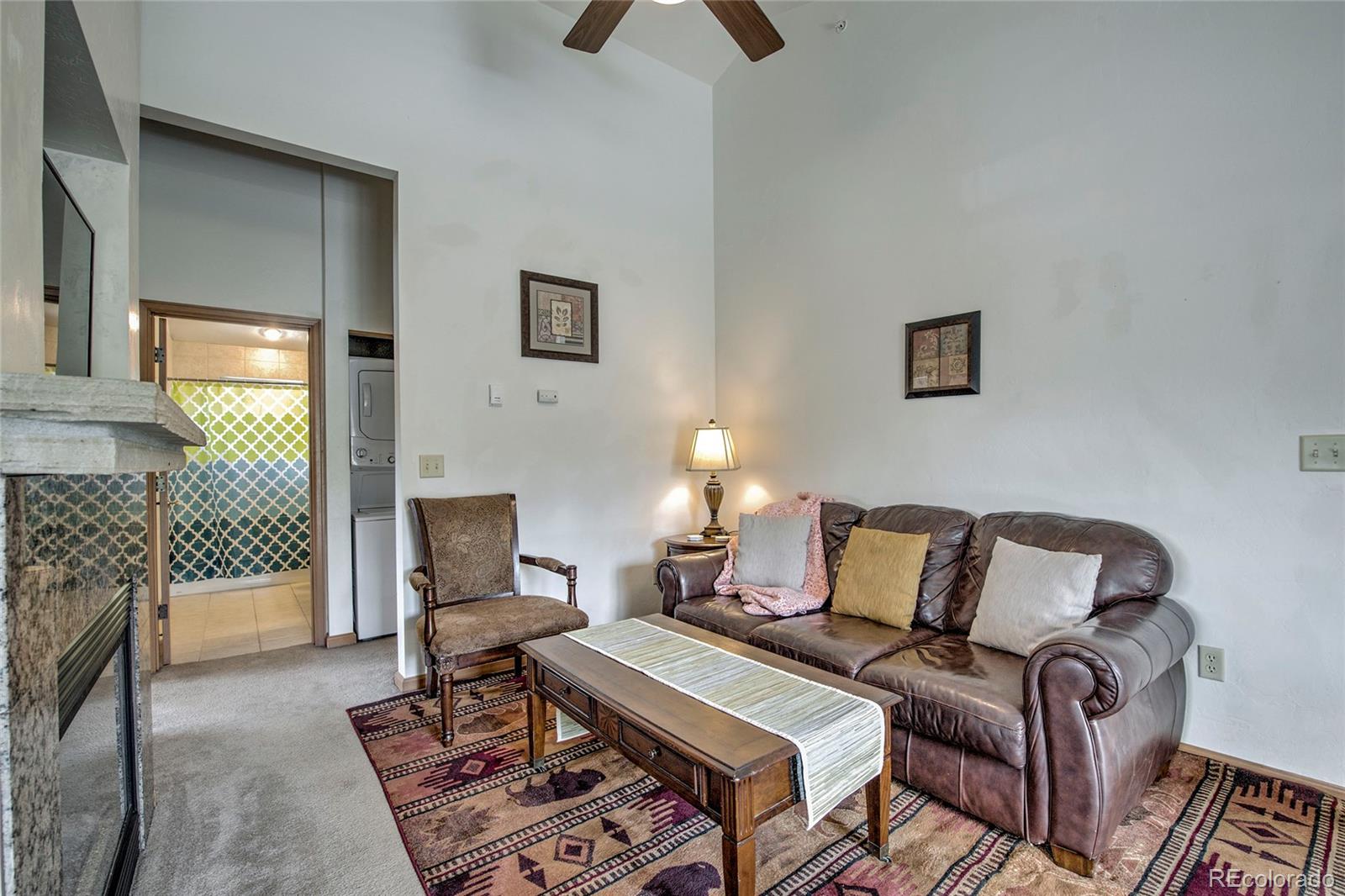 MLS Image #1 for 304  streamside lane,frisco, Colorado