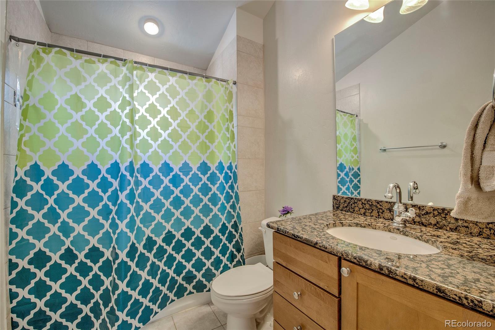 MLS Image #18 for 304  streamside lane,frisco, Colorado