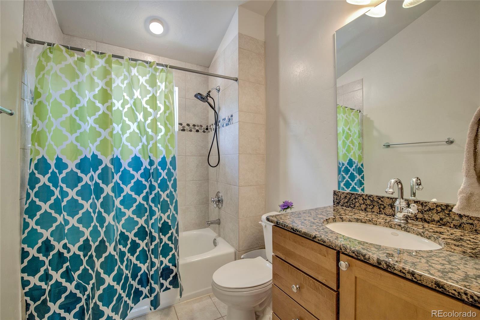 MLS Image #19 for 304  streamside lane,frisco, Colorado