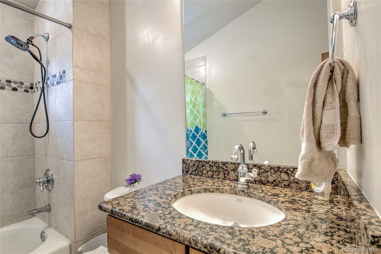 MLS Image #20 for 304  streamside lane,frisco, Colorado