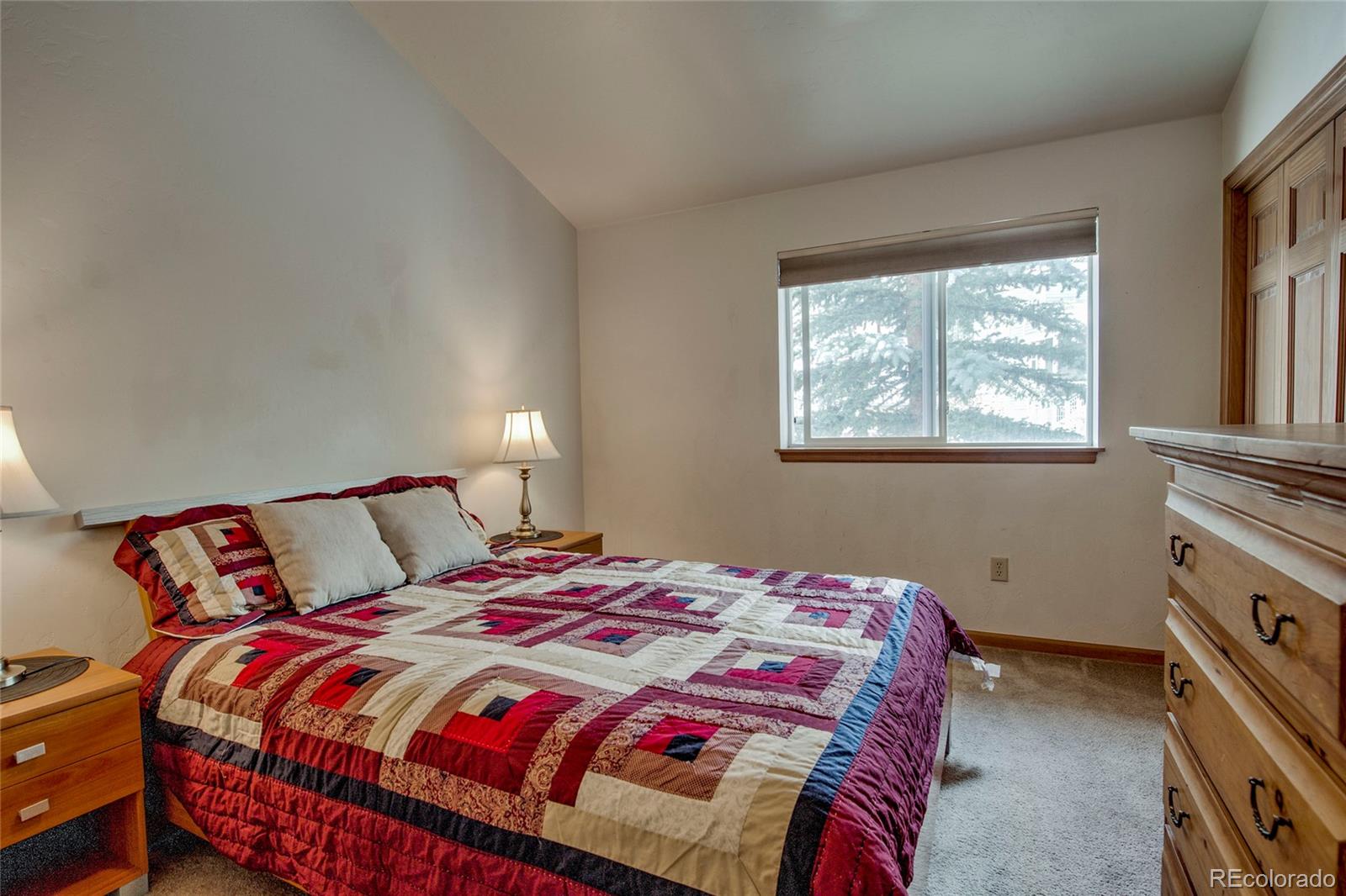 MLS Image #25 for 304  streamside lane,frisco, Colorado