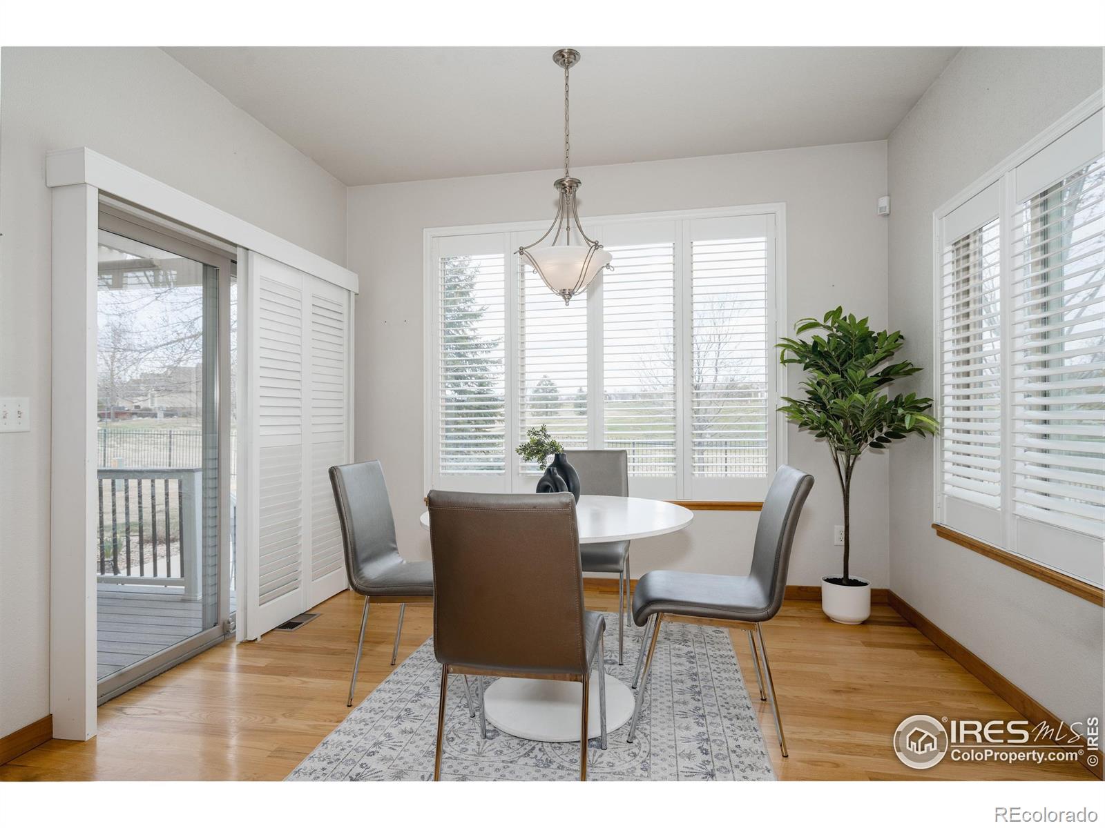 MLS Image #10 for 6771  crooked stick drive,windsor, Colorado