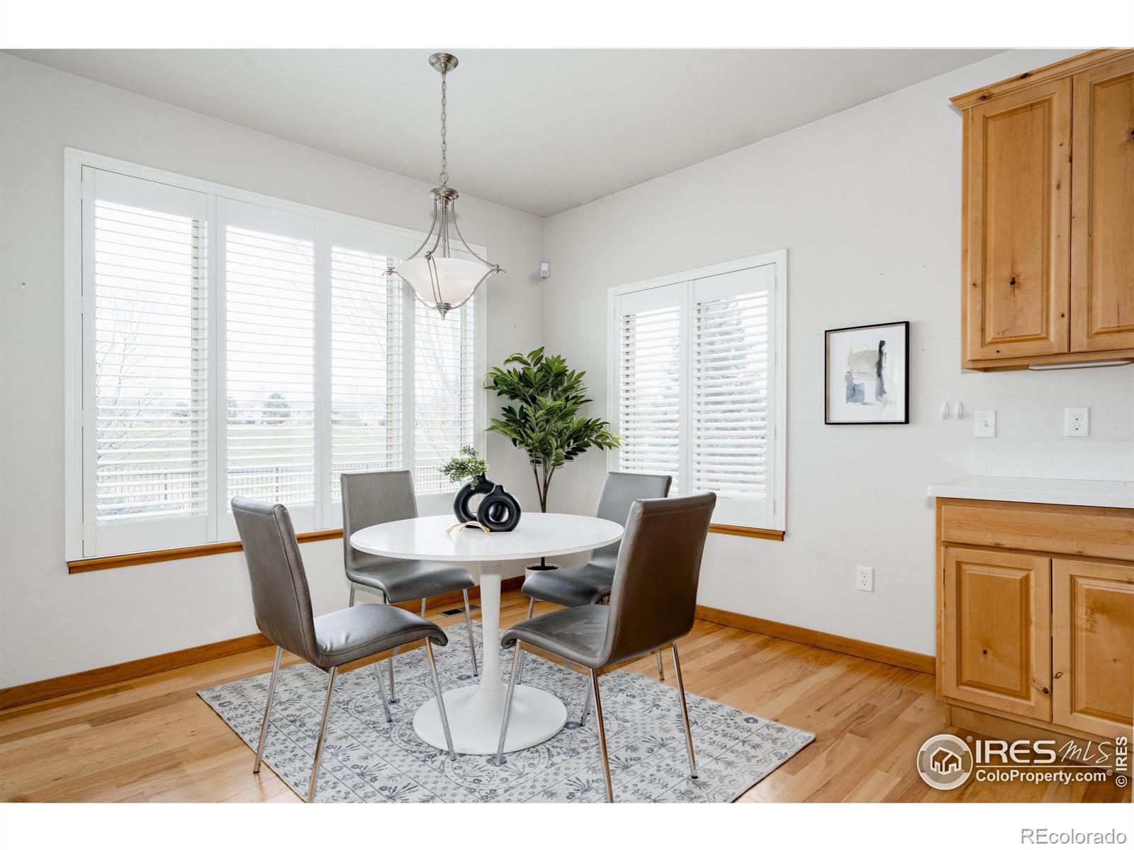 MLS Image #19 for 6771  crooked stick drive,windsor, Colorado