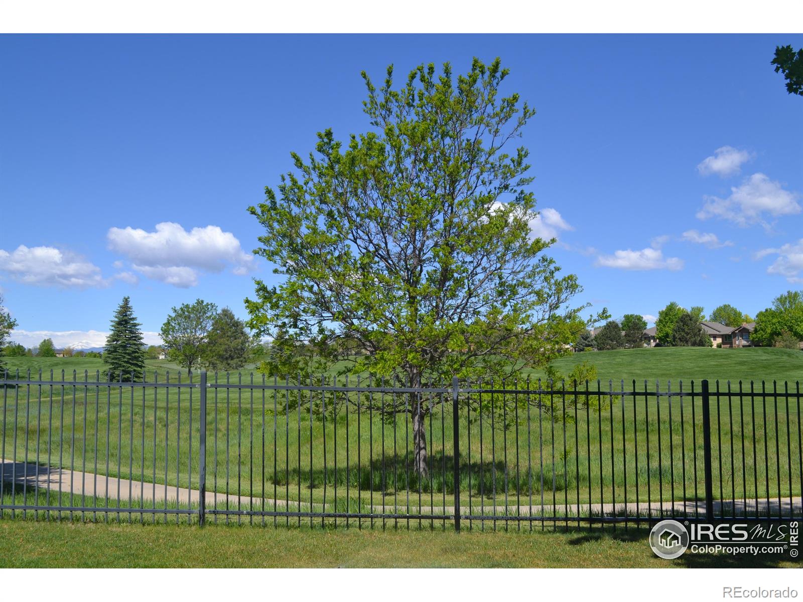 MLS Image #2 for 6771  crooked stick drive,windsor, Colorado