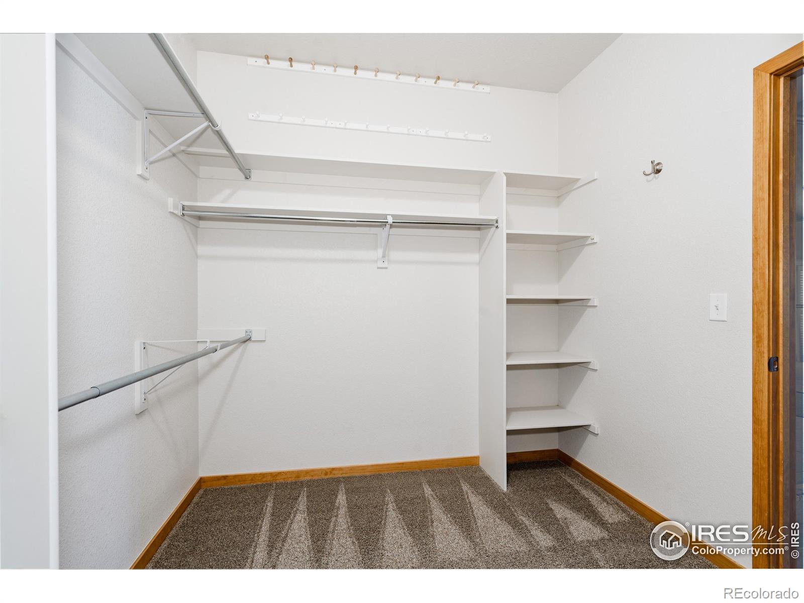 MLS Image #29 for 6771  crooked stick drive,windsor, Colorado