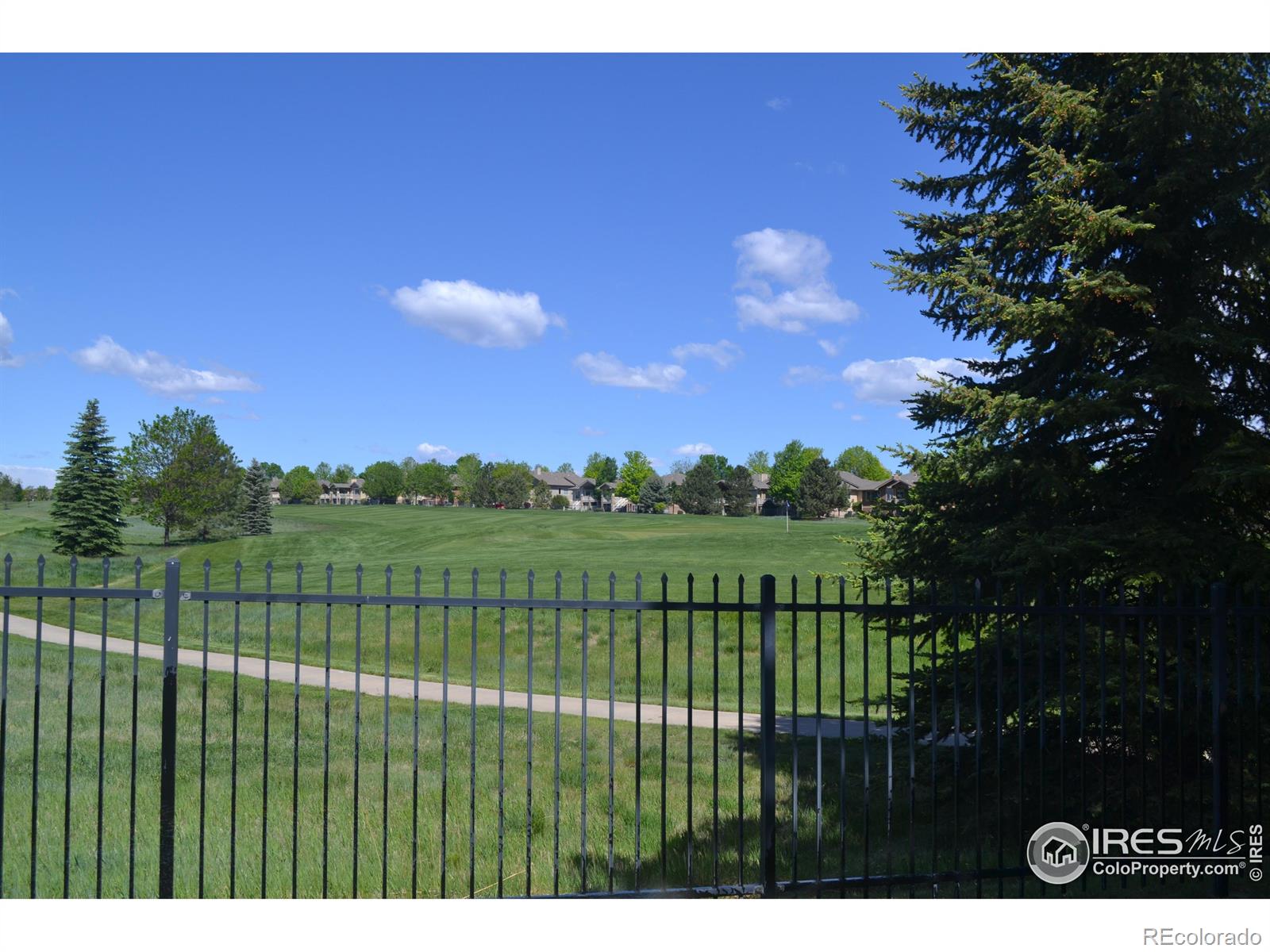 MLS Image #3 for 6771  crooked stick drive,windsor, Colorado