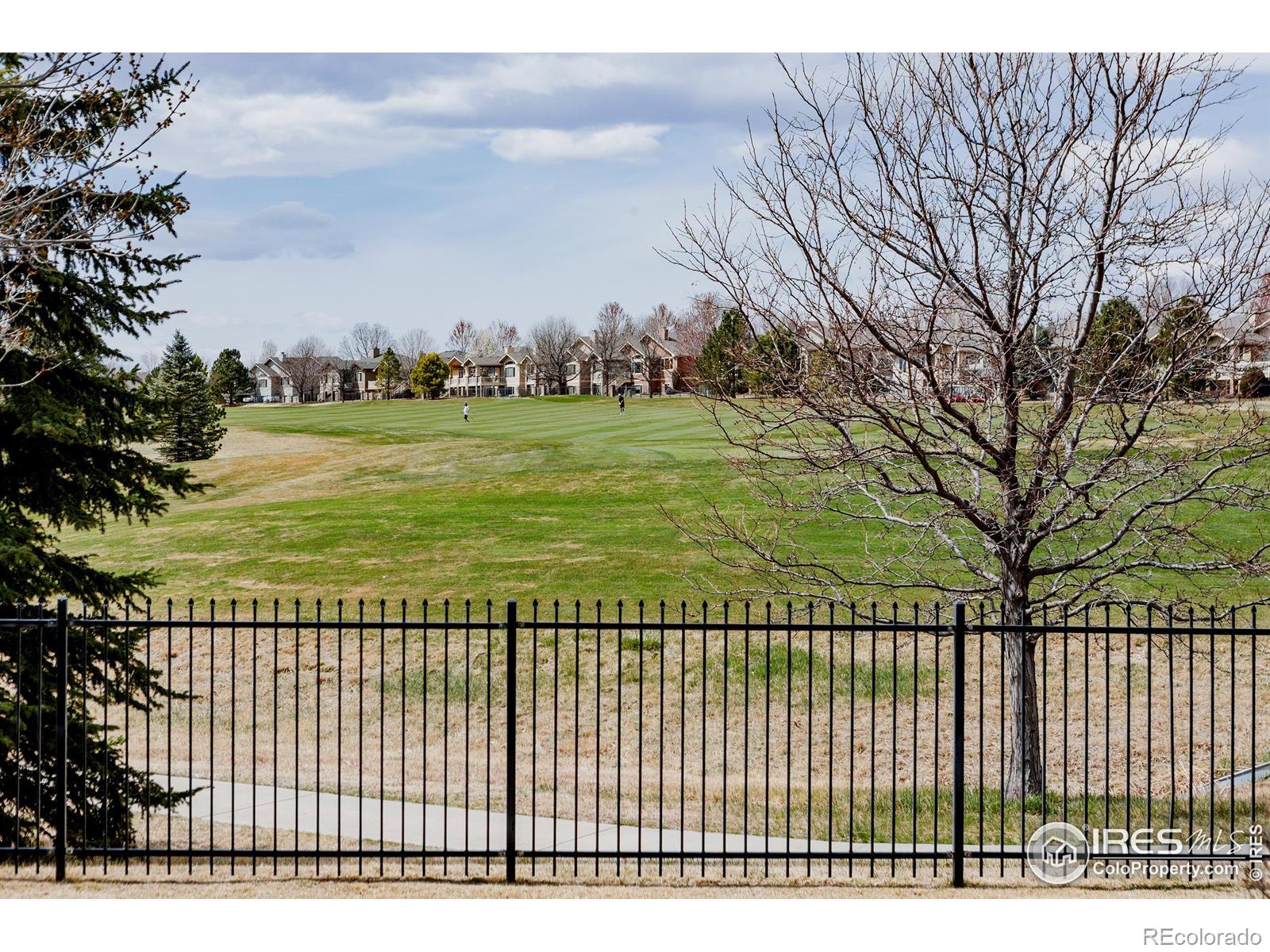 MLS Image #4 for 6771  crooked stick drive,windsor, Colorado