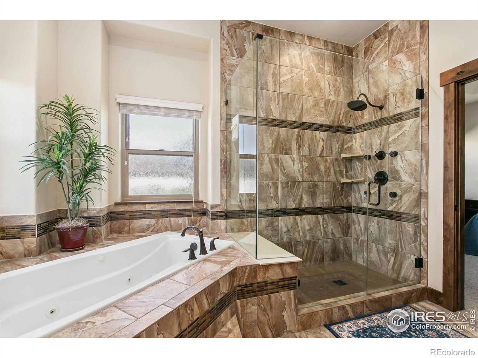 MLS Image #10 for 973  skipping stone court,timnath, Colorado