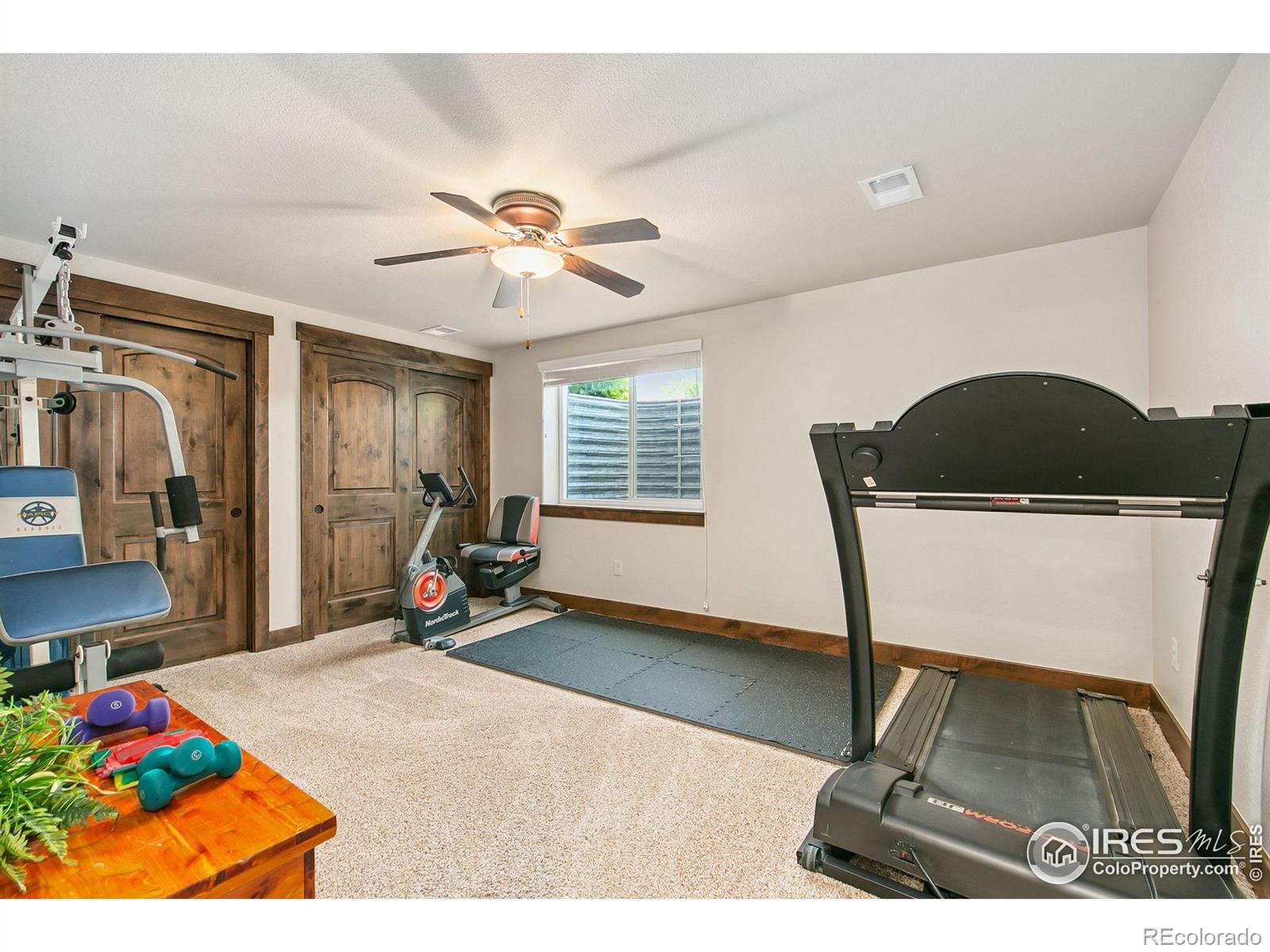 MLS Image #24 for 973  skipping stone court,timnath, Colorado