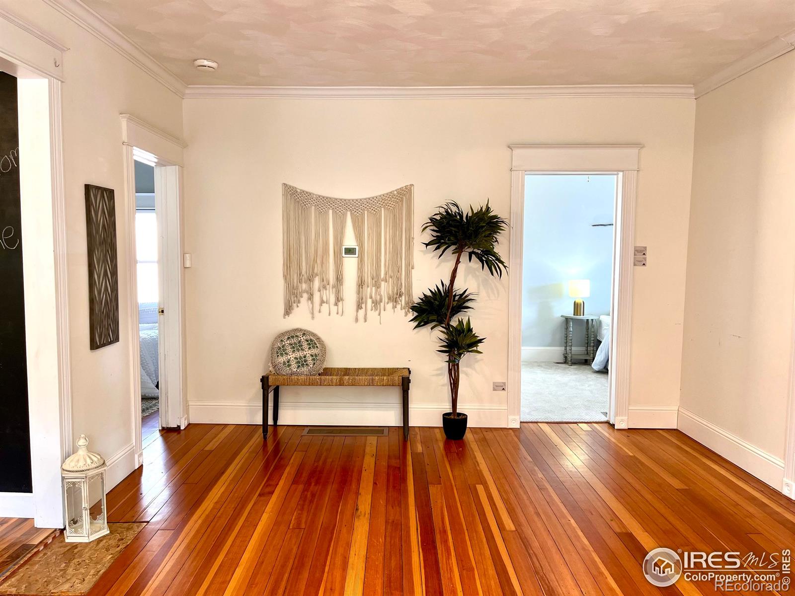 MLS Image #3 for 22  elm street,windsor, Colorado
