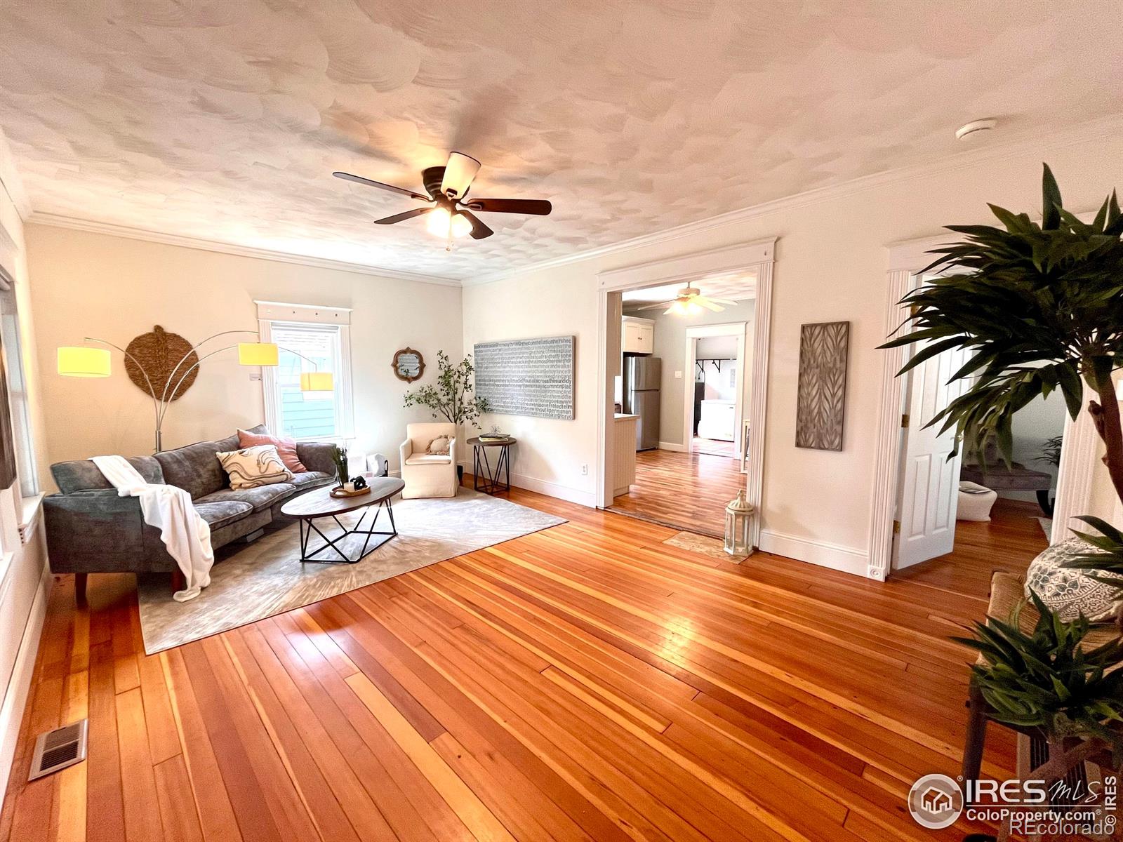 MLS Image #6 for 22  elm street,windsor, Colorado
