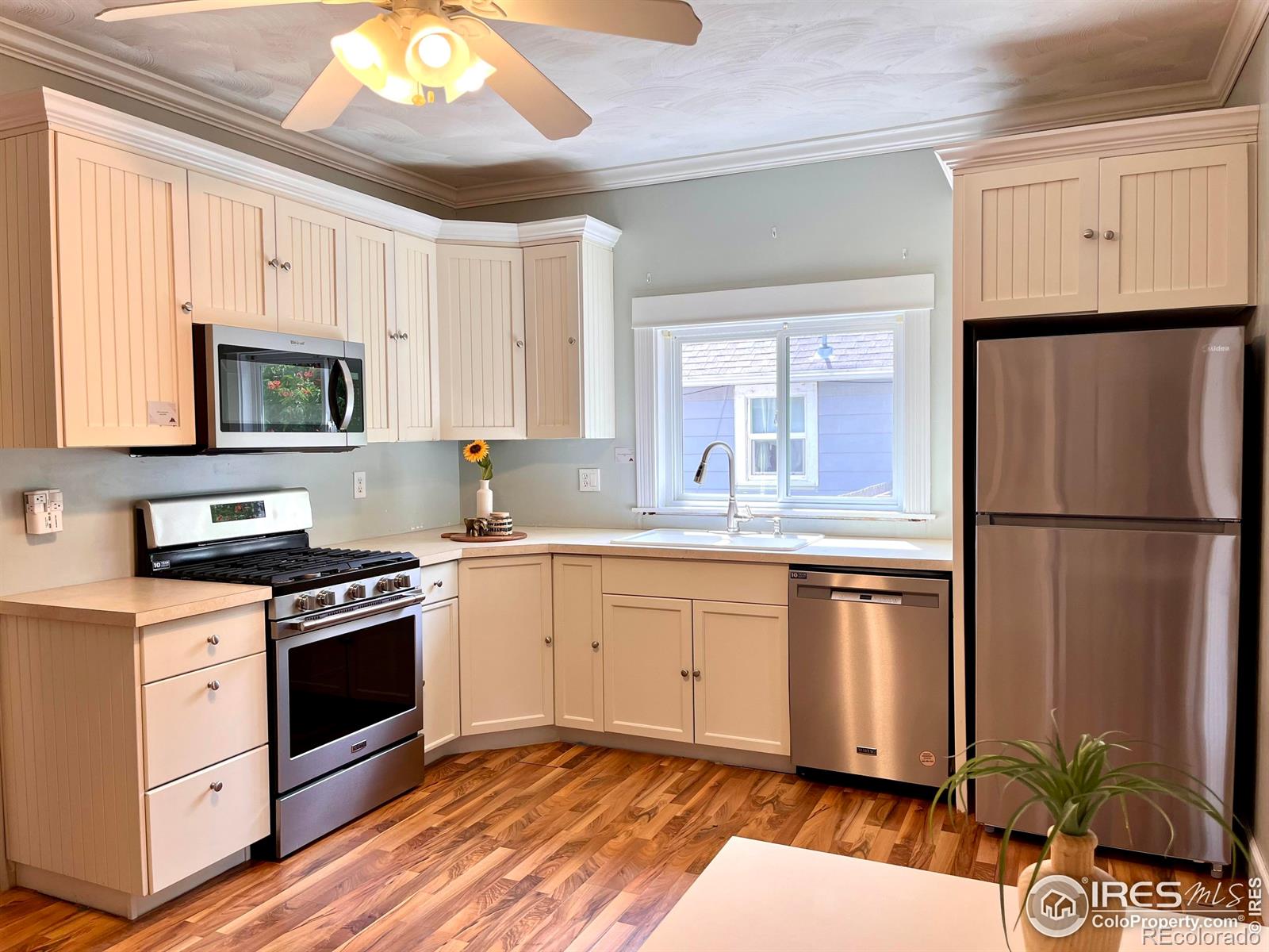 MLS Image #8 for 22  elm street,windsor, Colorado