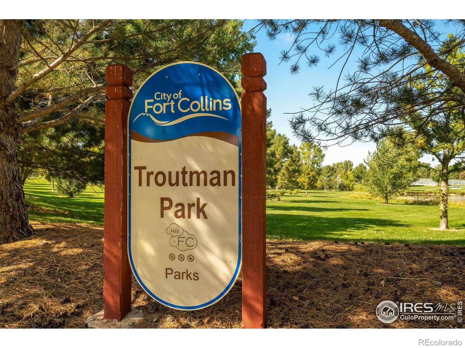 MLS Image #34 for 837  marble drive,fort collins, Colorado
