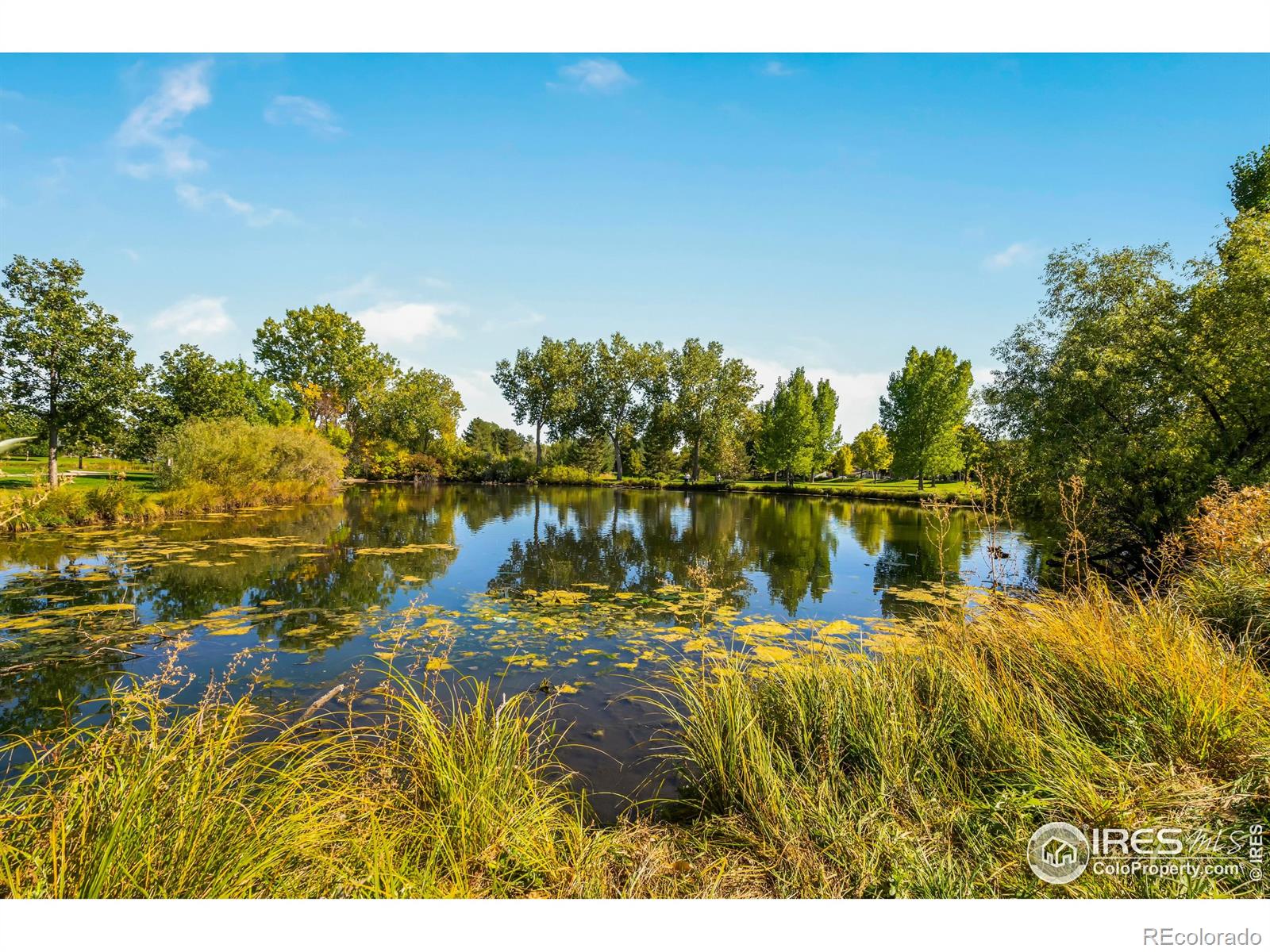 MLS Image #36 for 837  marble drive,fort collins, Colorado