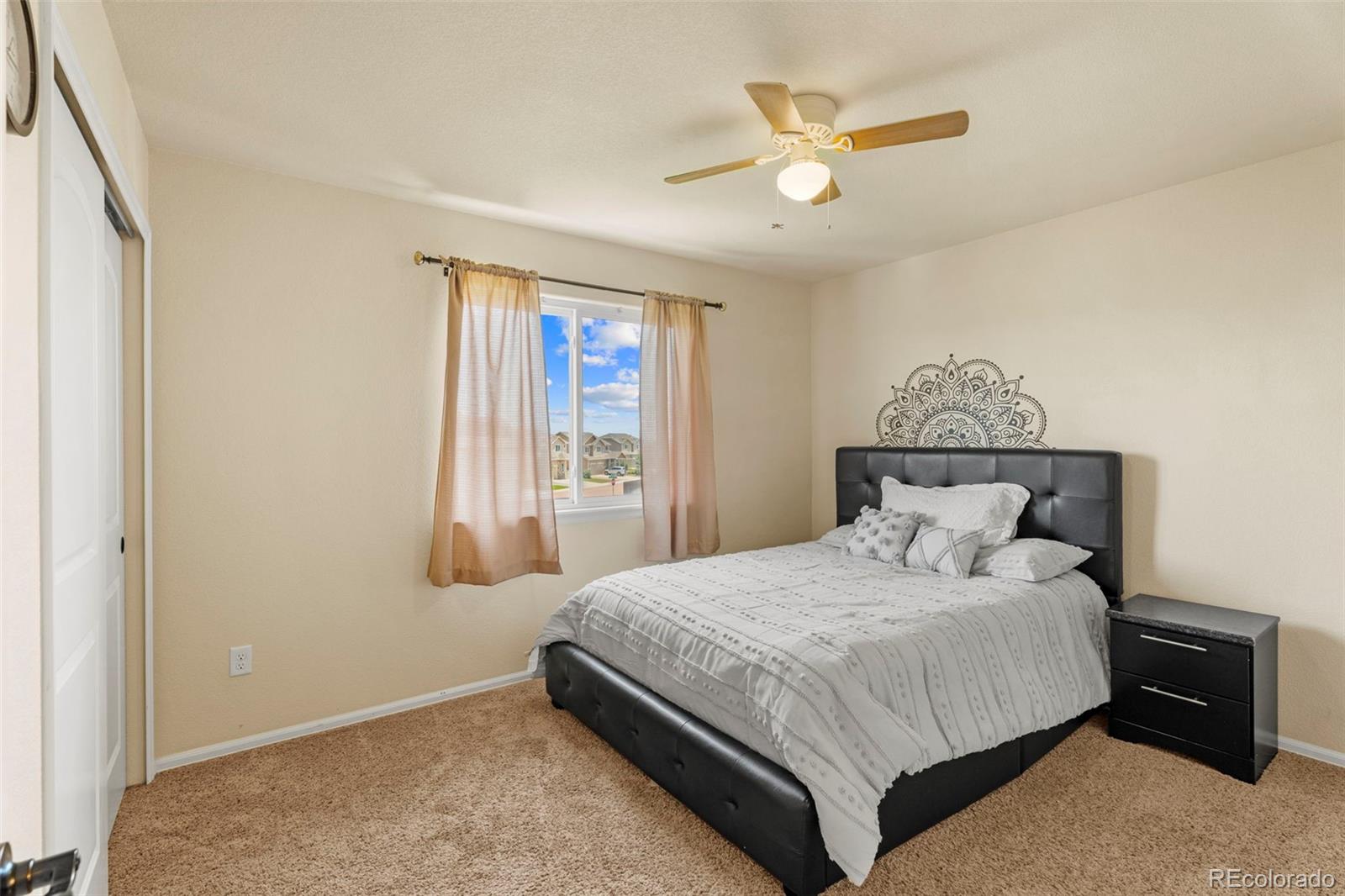 MLS Image #13 for 4651  dancing rain way,colorado springs, Colorado