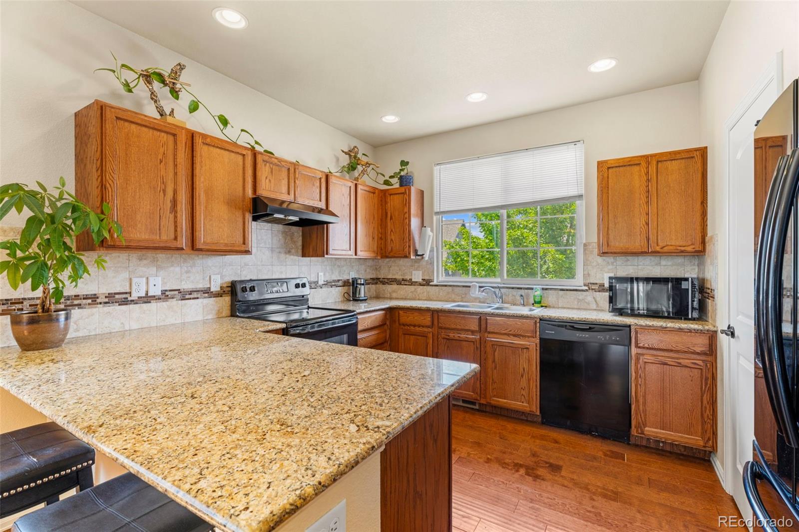 MLS Image #6 for 4651  dancing rain way,colorado springs, Colorado