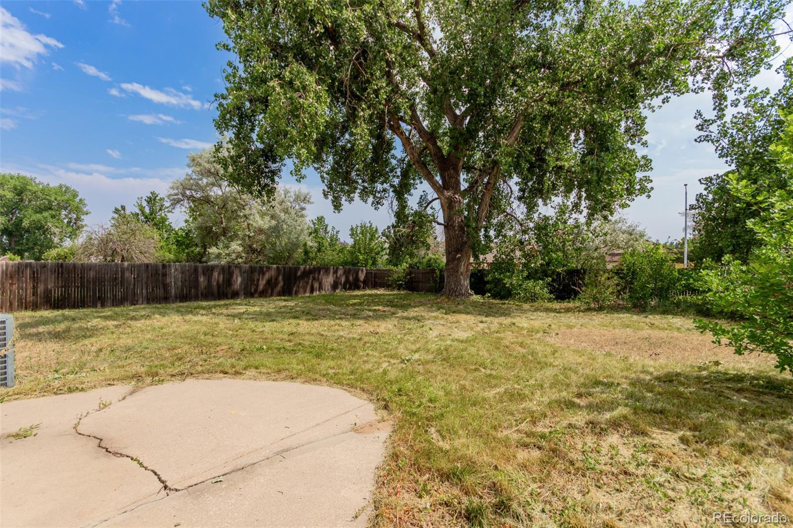 MLS Image #31 for 2603  danbury drive,longmont, Colorado