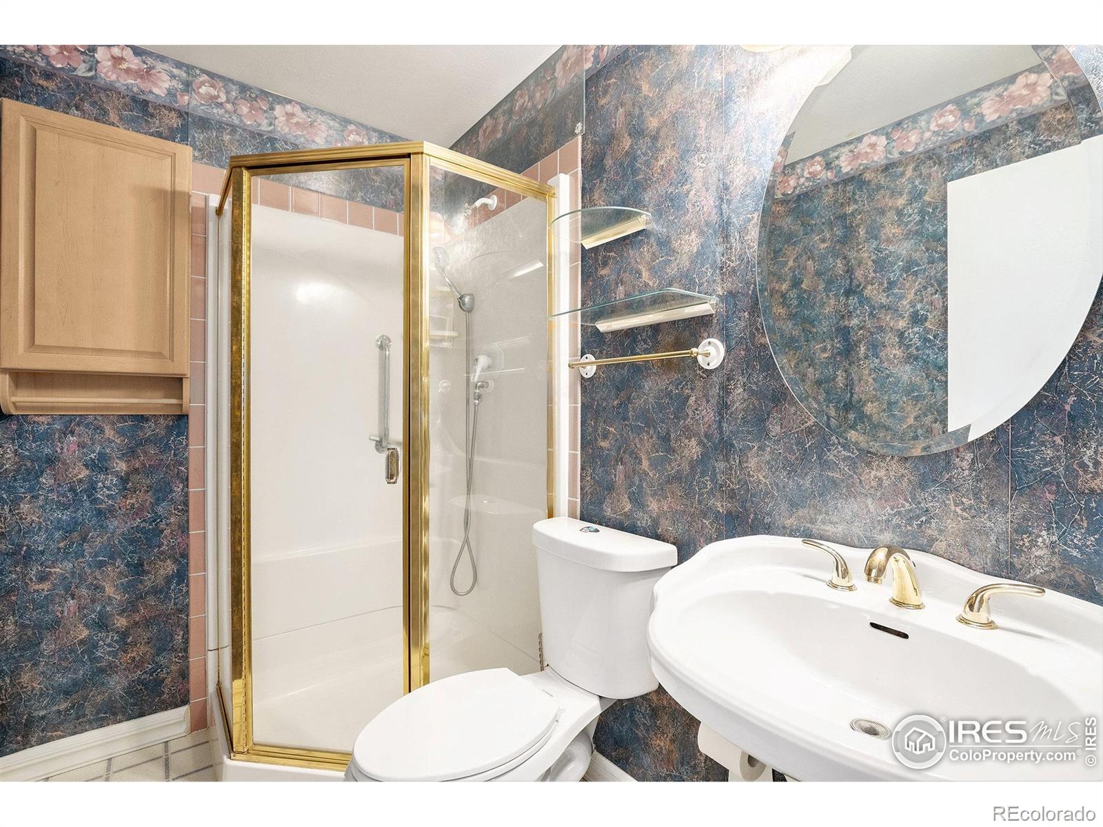 MLS Image #12 for 3066 w 134th court,broomfield, Colorado
