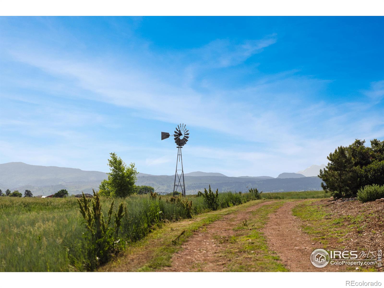 MLS Image #5 for 6880  saint vrain road,longmont, Colorado