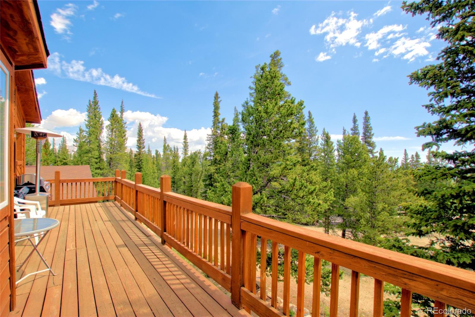 MLS Image #10 for 369  prunes place,fairplay, Colorado