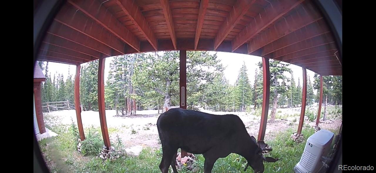 MLS Image #11 for 369  prunes place,fairplay, Colorado