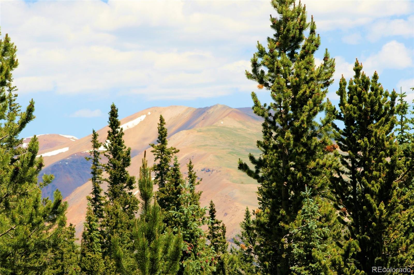 MLS Image #12 for 369  prunes place,fairplay, Colorado