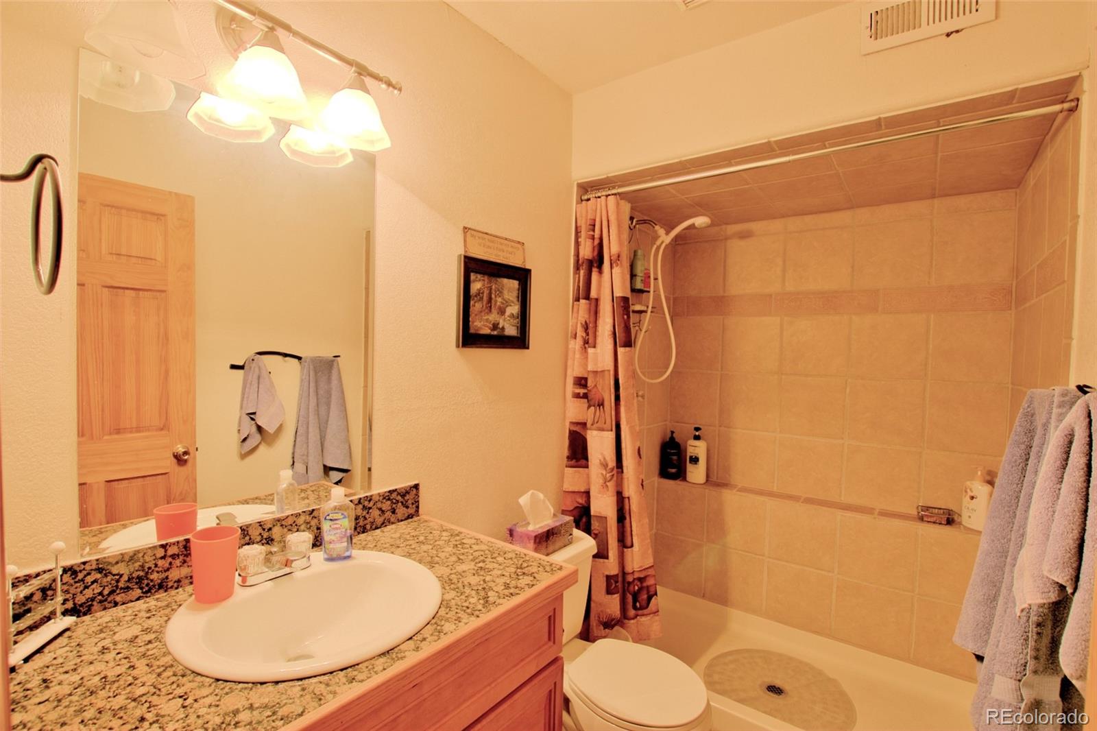 MLS Image #15 for 369  prunes place,fairplay, Colorado