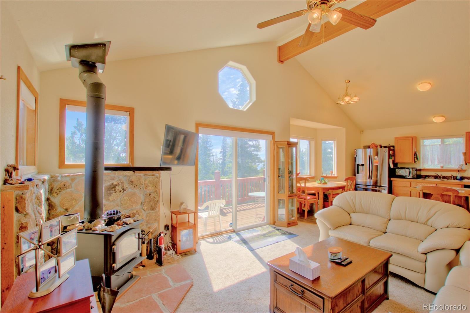 MLS Image #17 for 369  prunes place,fairplay, Colorado